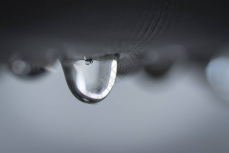 大阵雨后晨起的水滴图片