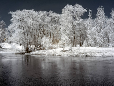 红外摄影海边有河流和白树的风景背景图片