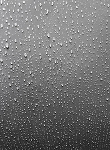 白色和黑色背景上的水雨滴图片