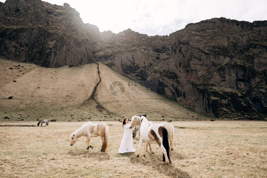 新娘在岩石山的背景下触摸着田野中的马匹图片