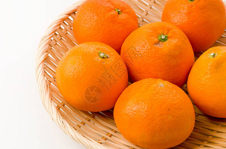 白底竹椰子上新鲜的柑橘树日本柑橘水果图片