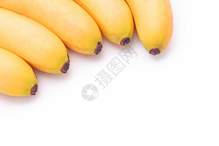 长熟的婴儿香蕉幼苗在图片