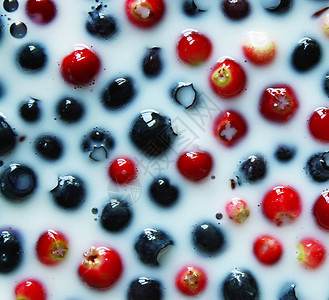 新鲜成熟的蓝莓和蔓越莓在牛奶中加入图片