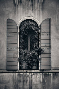 在意大利威尼斯历史建筑的窗户上可图片