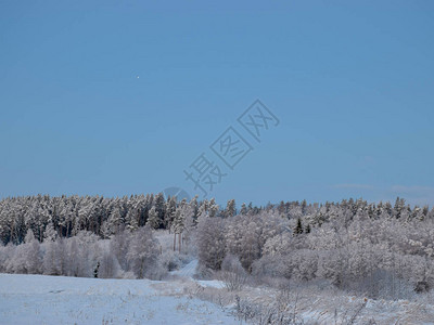 冬季风景冬季公路和雪覆盖图片