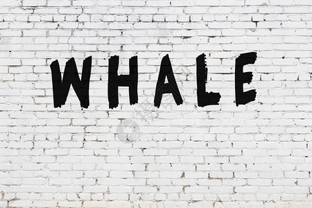 白砖墙用黑漆手写鲸鱼铭文图片