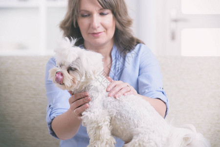 女人为狗做里基疗法背景图片