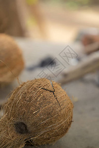 聚焦椰子爆裂的特写镜头图片