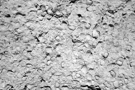 黑色和白色的贝壳岩块设计背景摘要和纹理背景图片