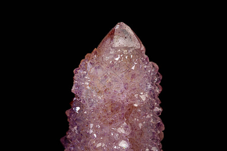 黑色背景特写上的宏观矿物石紫水晶仙人掌图片