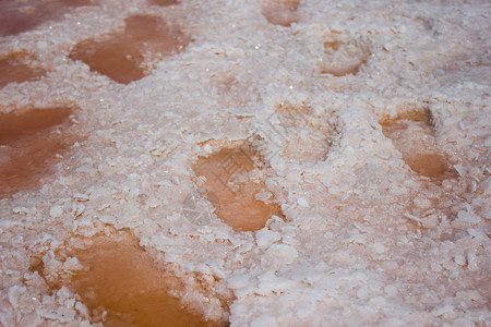 盐湖足迹中的玫瑰水提取海盐地貌背图片