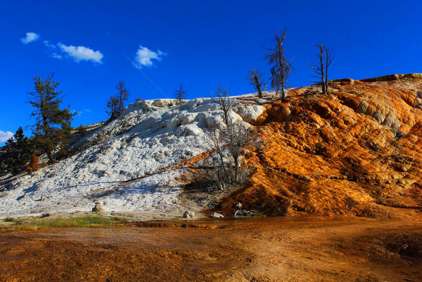 美国怀俄明州黄石公园猛犸泉遗图片