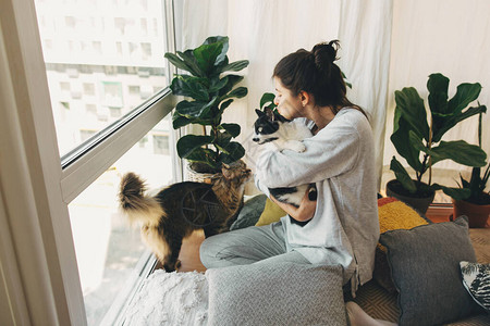 时髦女孩在现代房间里拥抱和玩两只猫图片