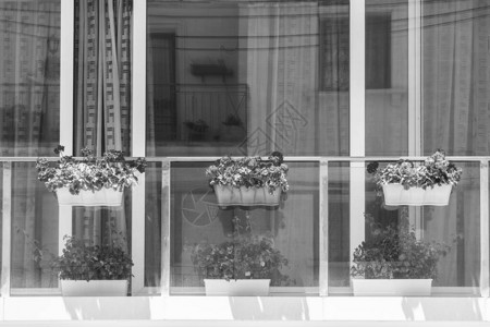 建造现代窗户装饰在马耳他的鲜花图片