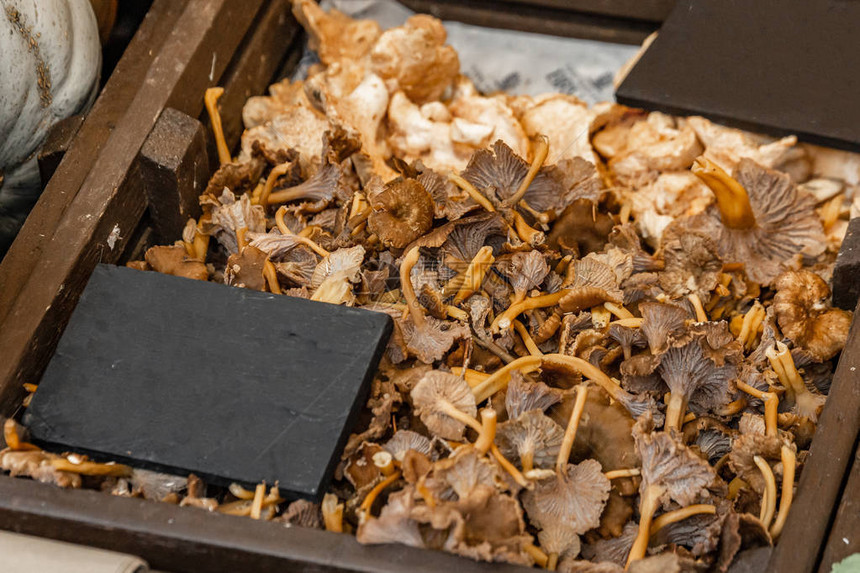 在森林成功收获之后装满了冬季香菇蘑的木箱图片