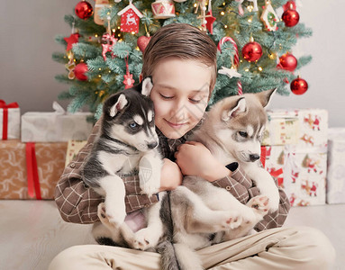 圣诞家庭圣诞树背景上带着狗哈士奇小狗的小男孩新年快乐图片