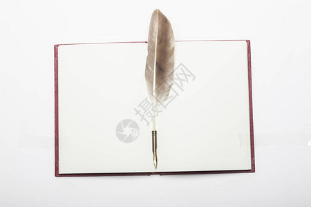 一支复古羽毛钢笔白色背景上有一本书图片