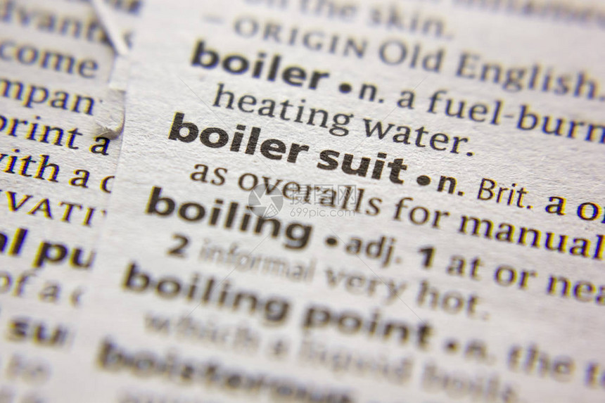 字典中的词或组Boilersuit图片
