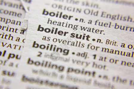 字典中的词或组Boilersuit图片