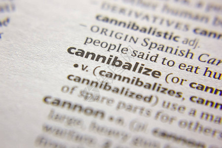 字典中的词句或短语Canni图片