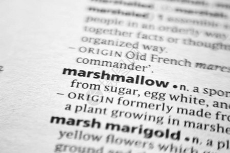 字典中的单词或短语Marshmallow图片