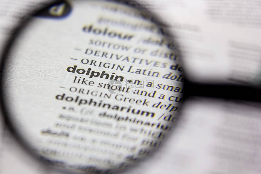 字典中的Dolphin图片