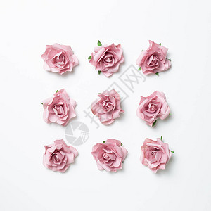 白色背景上的粉红玫瑰花花的成份平坦的躺地图片