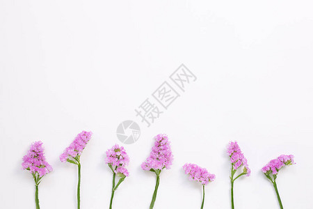 白色背景上的粉红色紫静态花卉组合平躺顶视图片