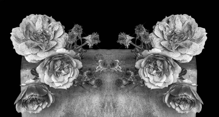 两束枯萎的玫瑰和三朵花放在一个灰色混凝土立方体上在黑底色背景上以图片