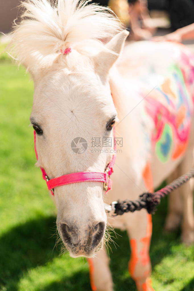 孩子们在小女孩生日派对上画着一匹白色的独角图片