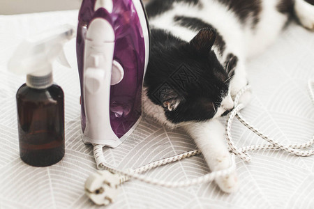 可爱的黑白猫在时尚房间的熨衣板上放松图片