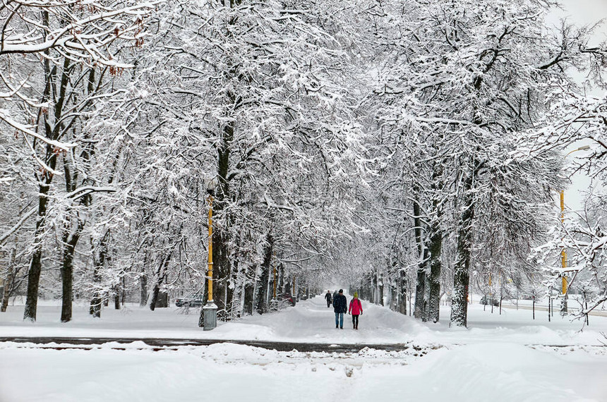 莫斯科有雪树的俄罗斯著名大学冬季校园景色令人振图片
