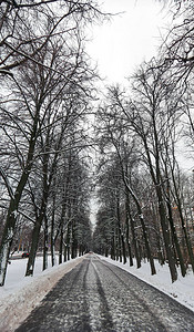 莫斯科有雪树的俄罗斯著名大学冬季校园景色令人振图片