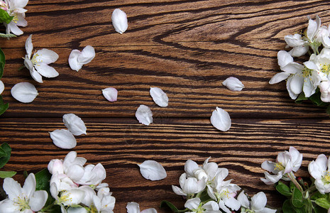 散落着白色花瓣的木质背景图片