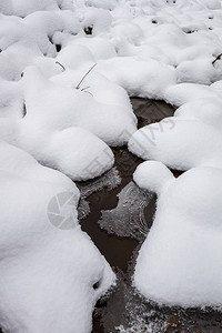 雪中小河图片