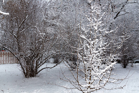 冬季童话故事雪覆盖的冬季公园冬季时间背景图片