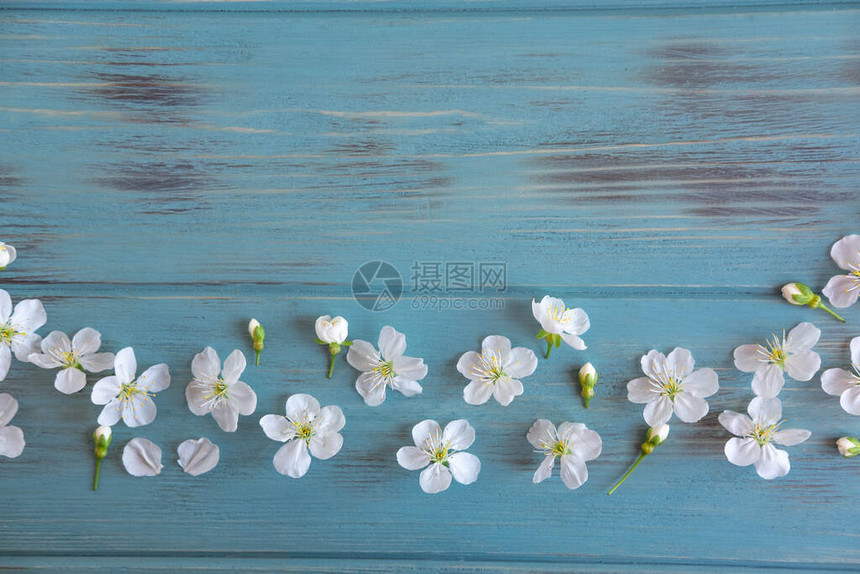 文字的春季框架设计为春季促销白樱桃花在木制背景上图片