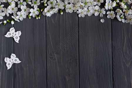 文字的春季框架设计为春季促销白樱桃花在木制背景上图片