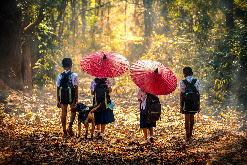 社区生活男孩和女孩拿着一把红色的雨伞带着狗正在森林里散步去上学一群穿着制服的学校男孩和女孩在森林图片