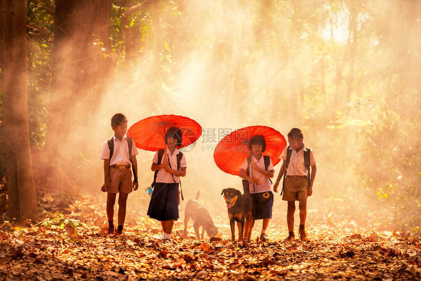 社区生活男孩和女孩拿着一把红色的雨伞带着狗正在森林里散步去上学一群穿着阿甘制服的和女生回到学校ThaTum区图片