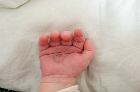 婴儿手指和手掌小图片