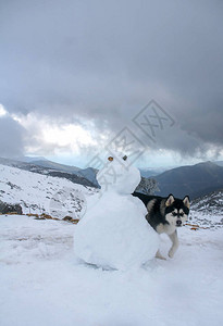 美丽的阿拉斯加在雾雪环境图片