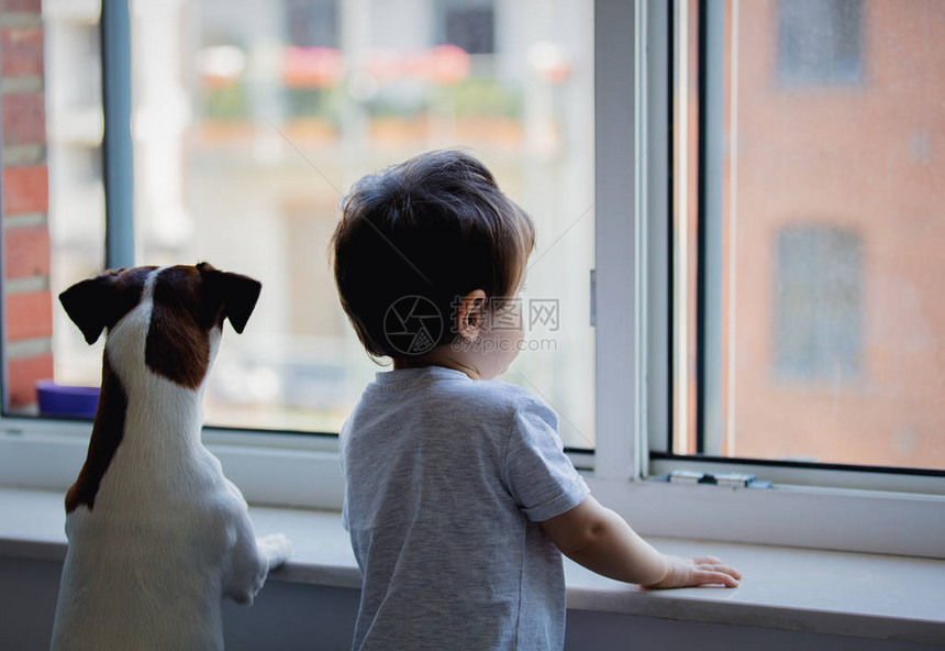 小男孩和狗看窗外图片