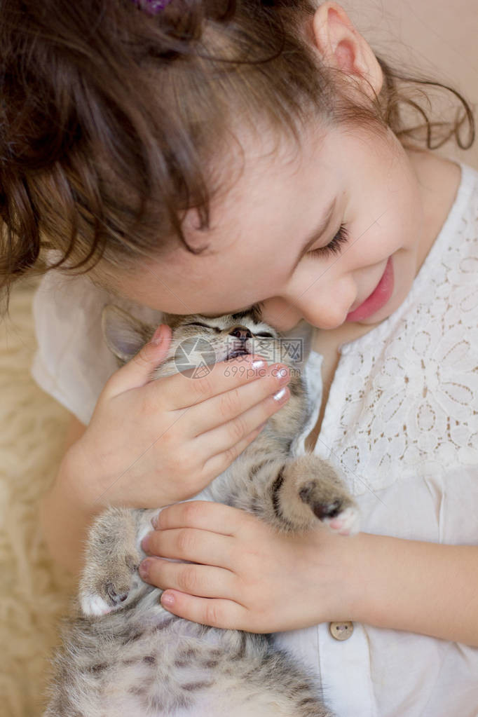 小女孩宠物一只可爱的灰色小猫图片