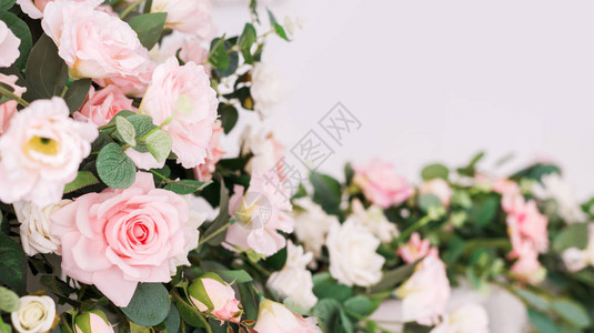 浅色背景上的美丽玫瑰花朵在柔和的颜色与文本的空白间的花卉框架母亲节和情人节贺卡的艺术花背景与玫背景图片