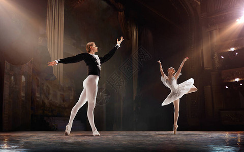 芭蕾舞团由几位芭蕾舞者表图片