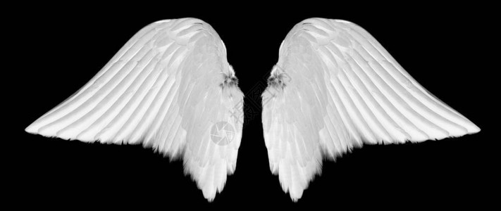 白色天使翅膀在黑色图片