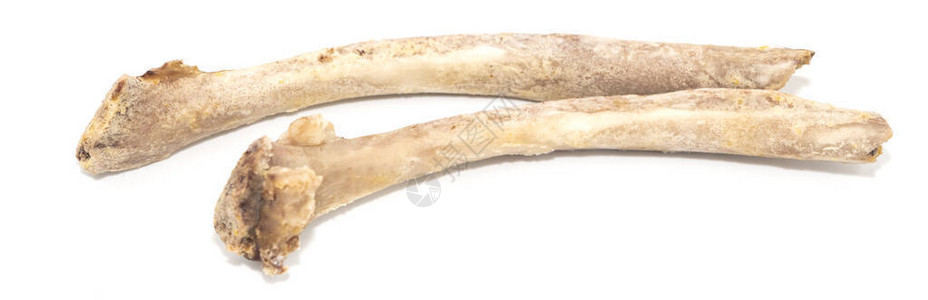 在白色背景上隔离的动物肋骨剩图片