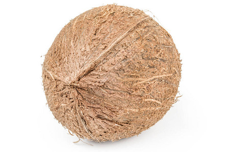 孤立的白色背景上的椰子背景图片