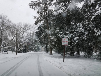 街道或街道冬季有白雪树木无路牌两图片